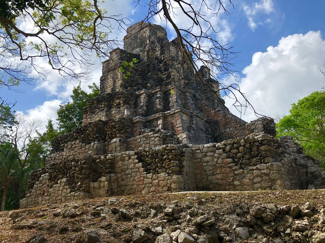 Zona Arqueológica de Muyil景点图片