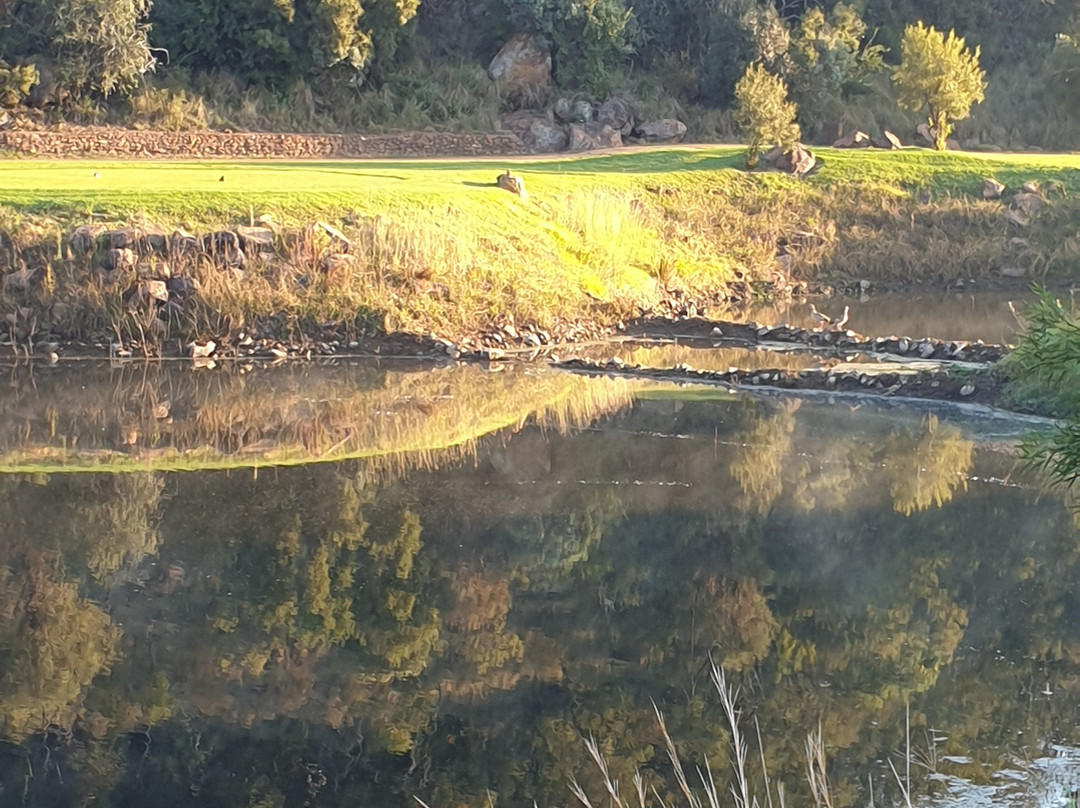 Elements Private Golf Reserve主图