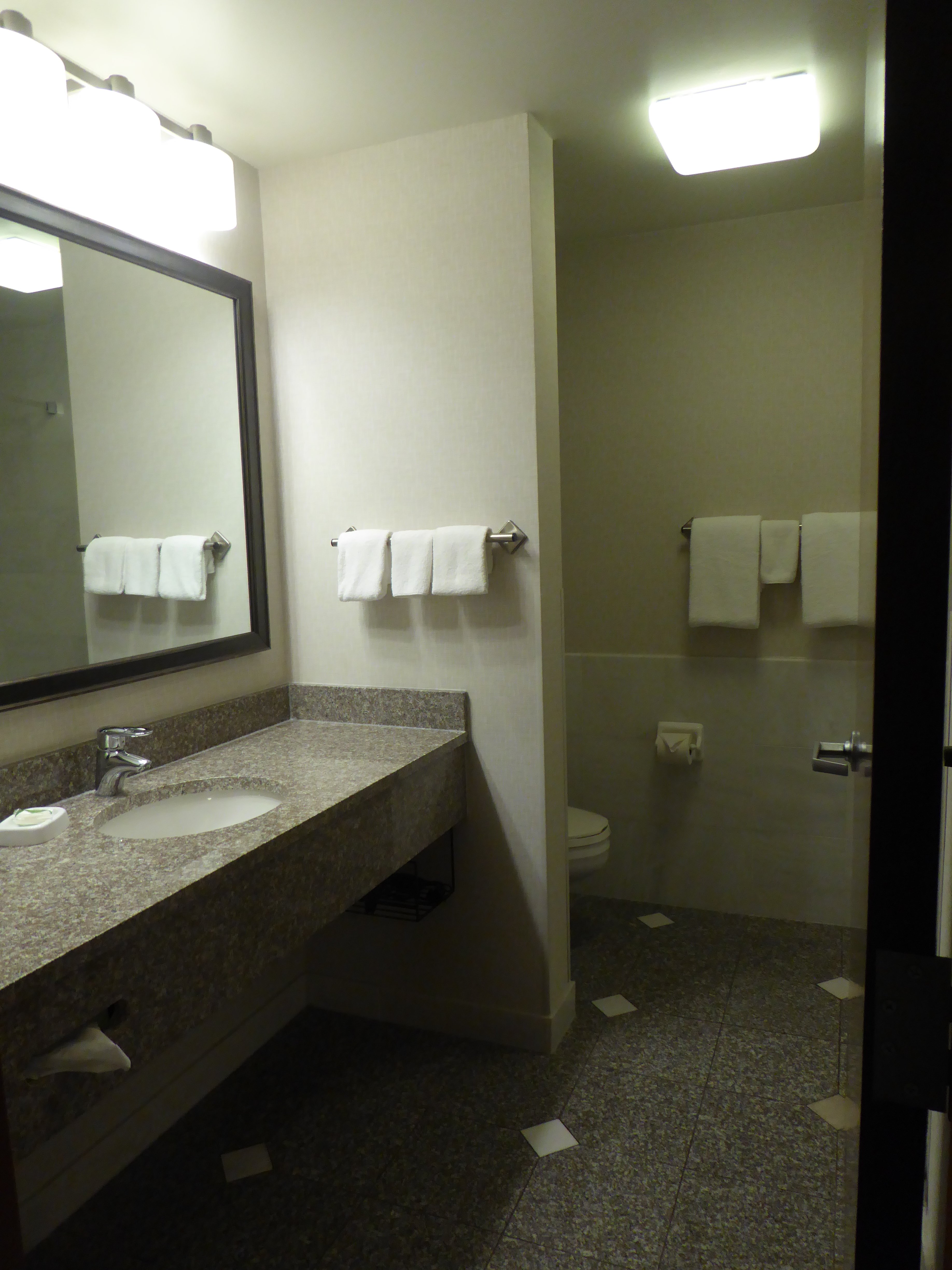 Drury Inn & Suites St. Louis Forest Park-portrait