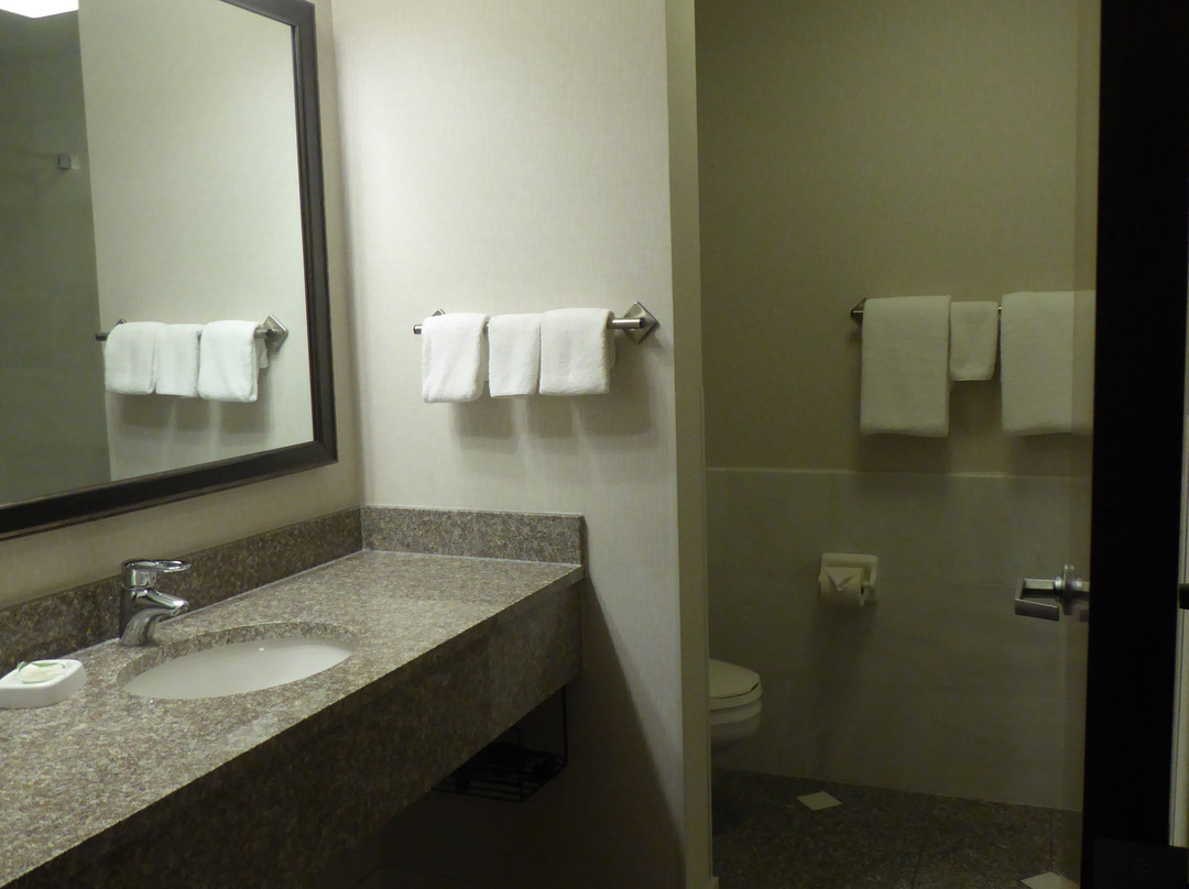 Drury Inn & Suites St. Louis Forest Park主图