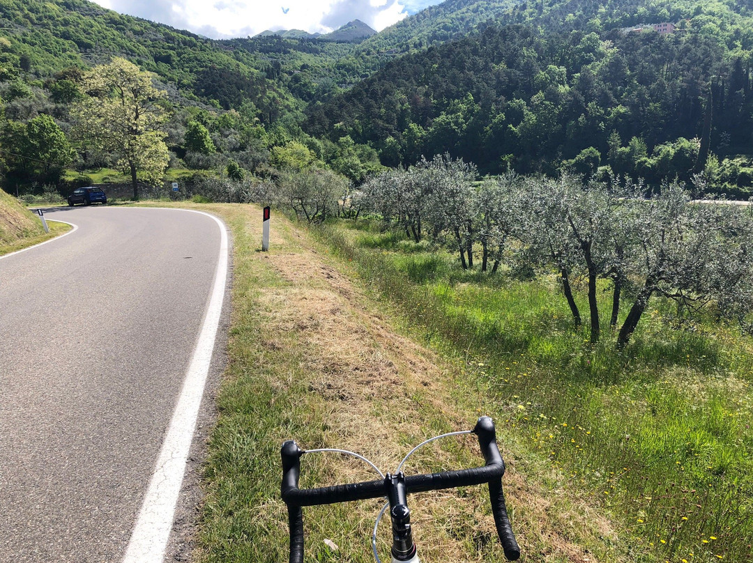 On The Tuscan Bike景点图片