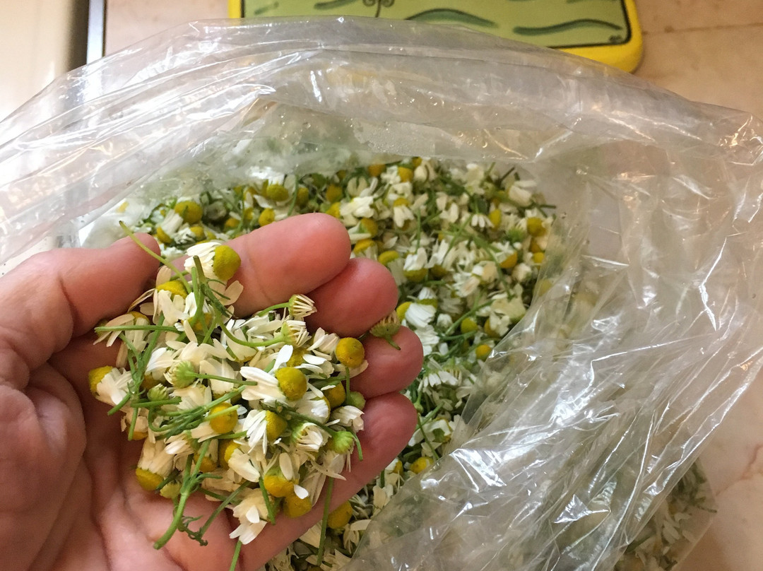 Honeygirl Meadery-达勒姆必去景点