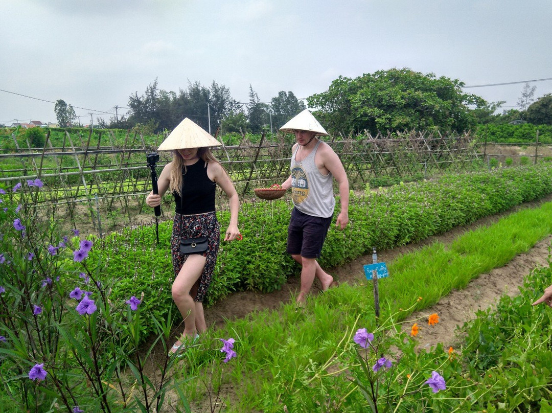 An Farm Hoi An景点图片