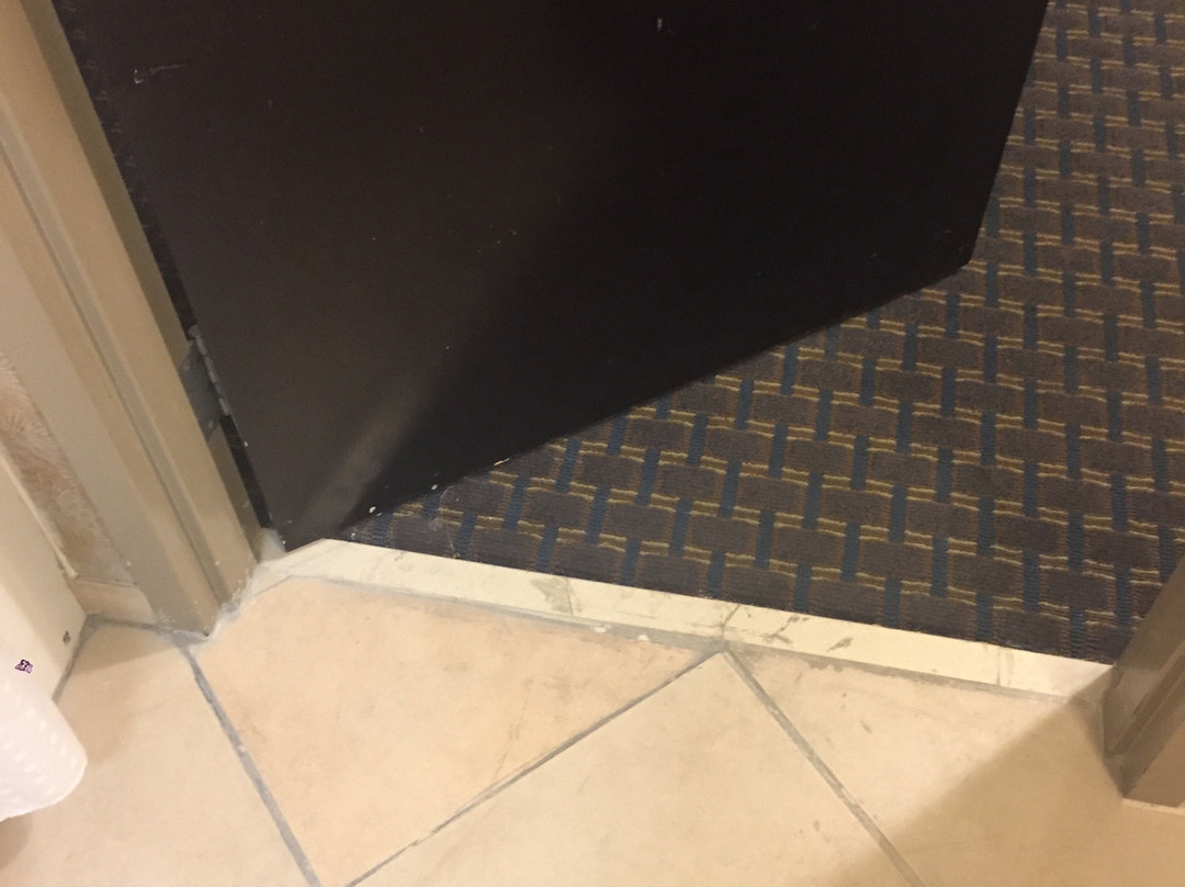 Holiday Inn Express & Suites Largo-clearwater By IHG主图