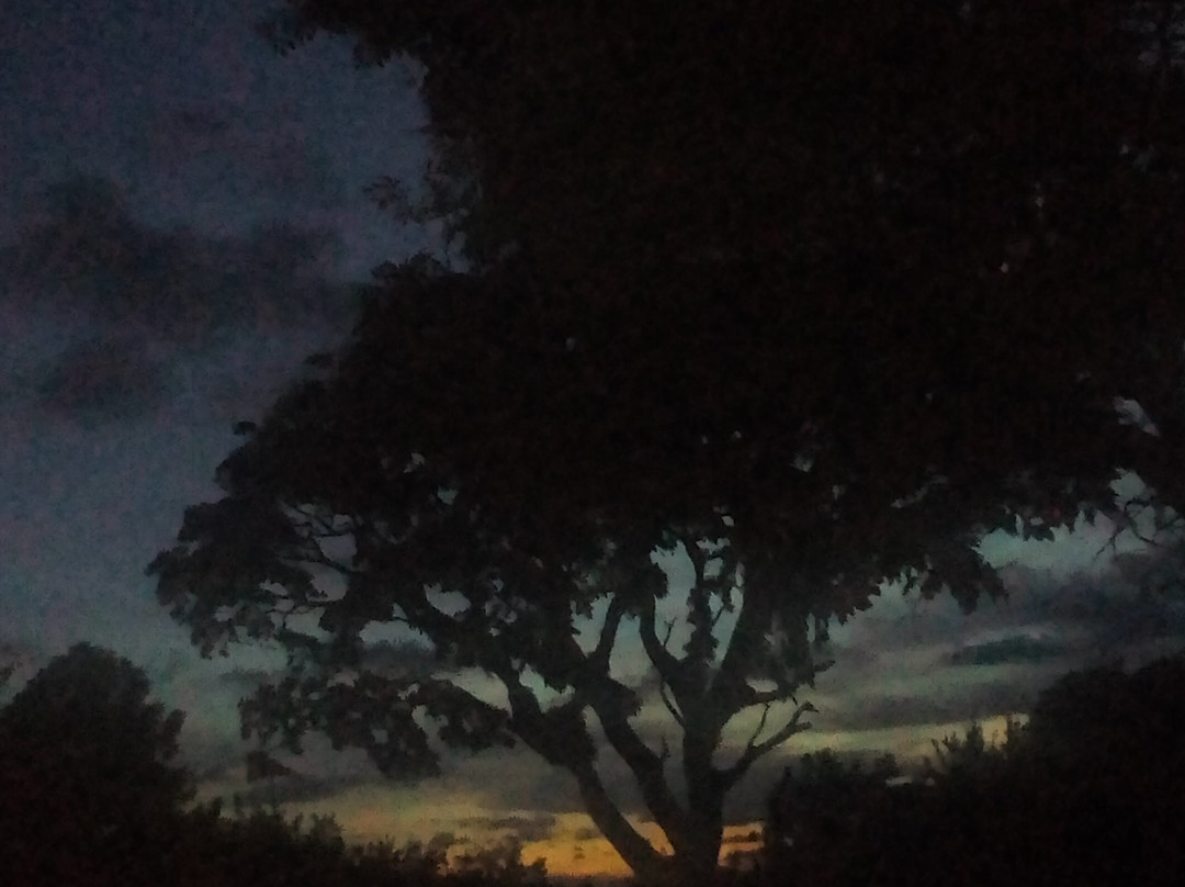 Rosemary Courts主图