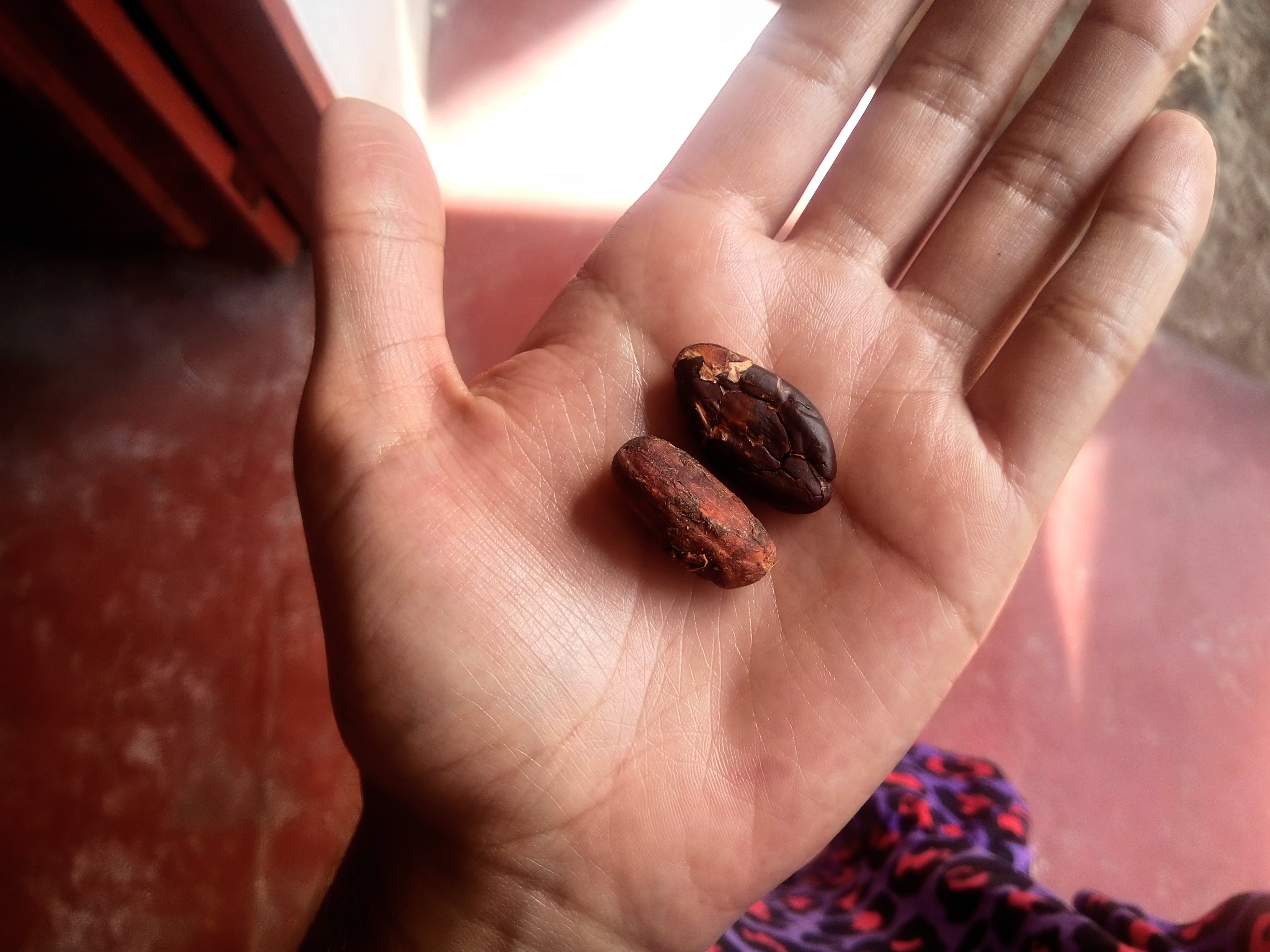 Hostal Finca San Rafael-家庭/游戏区