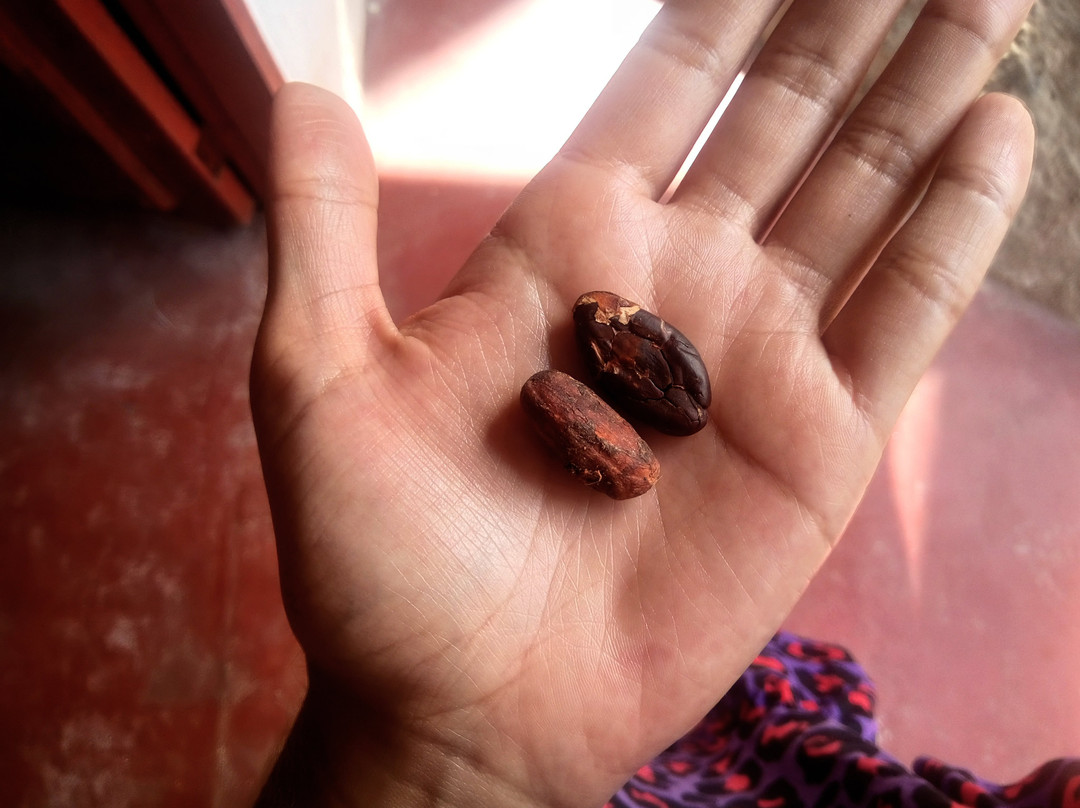 Hostal Finca San Rafael主图