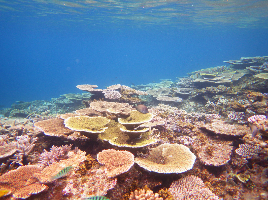 Aqua Base-Miyako-jima必去景点