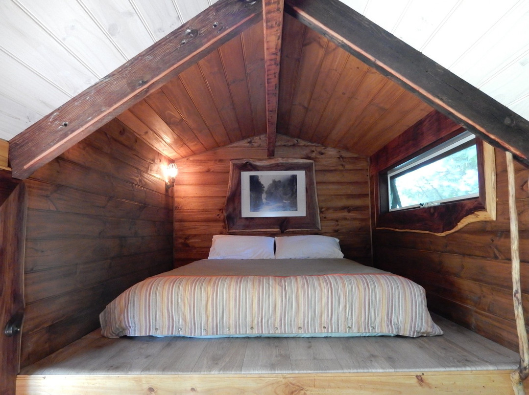 The Canvas Barn B&B主图