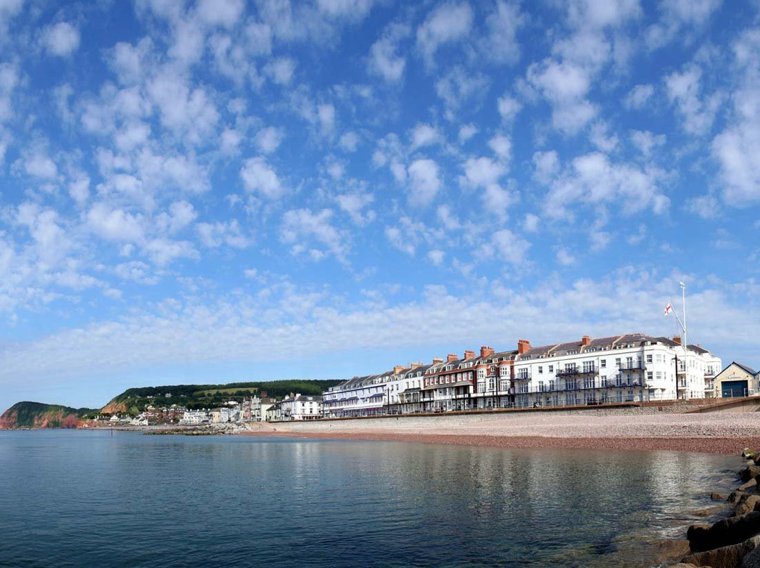 Belmont House Beer主图