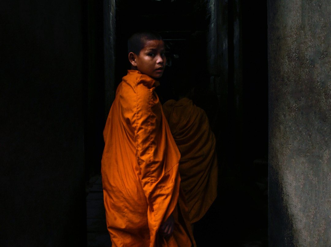 Moments When Experiences景点图片