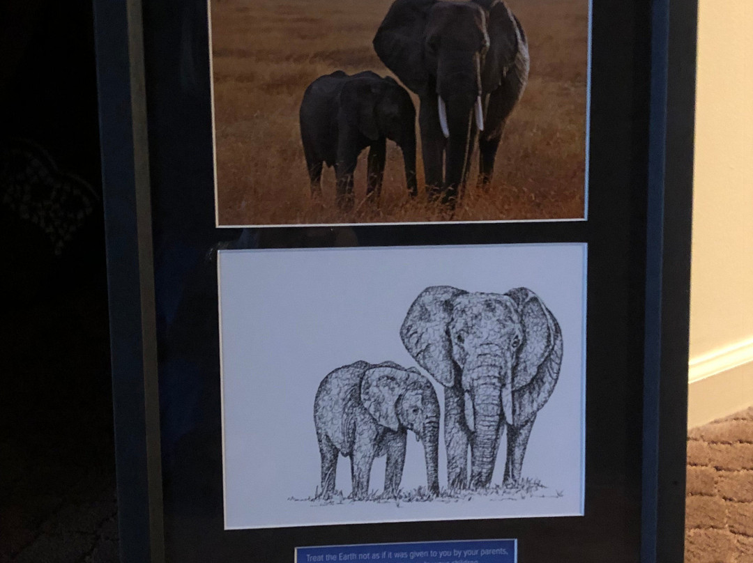 Into The Kruger Wildlife Gallery景点图片