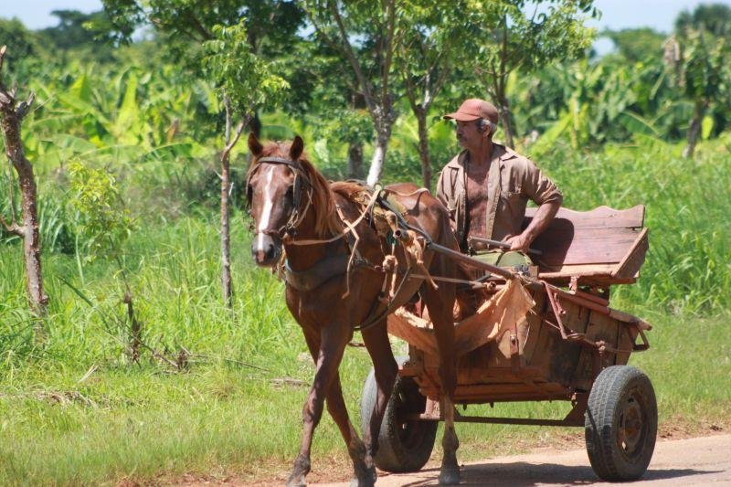 Cuba Havana Tours.com-哈瓦那必去景点
