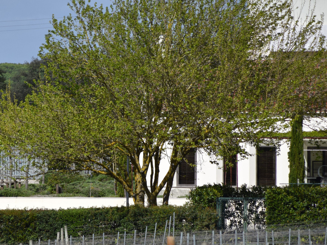 Quinta De Catralvos主图