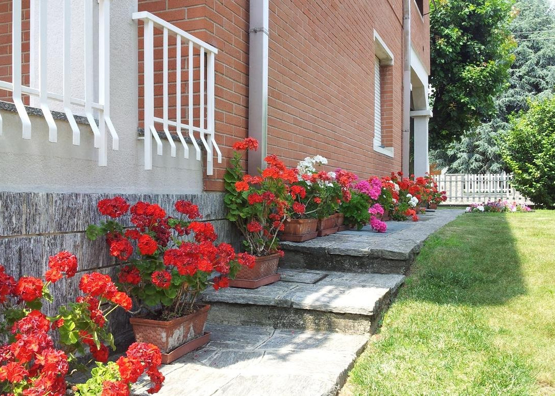 Bed and Breakfast Groane主图