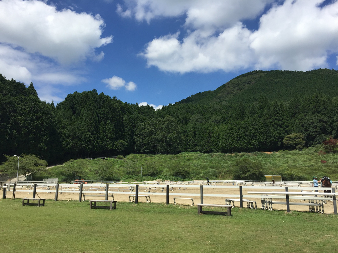 Horse Riding Club Crane Osaka-羽曳野市必去景点