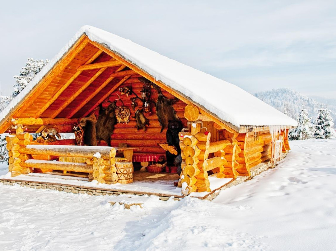 Inima Bucovinei主图