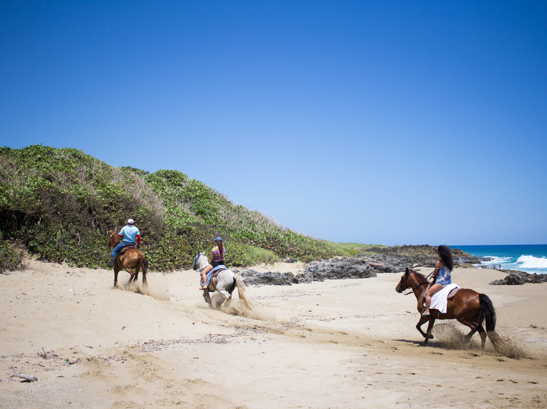 Equestrian Center at Sea Horse Ranch景点图片