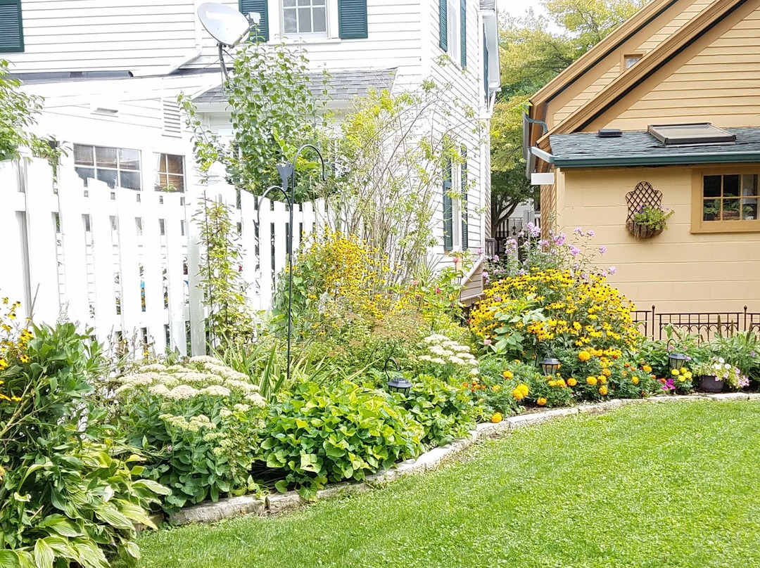 Lilly Pad - Boerners' Guest House主图