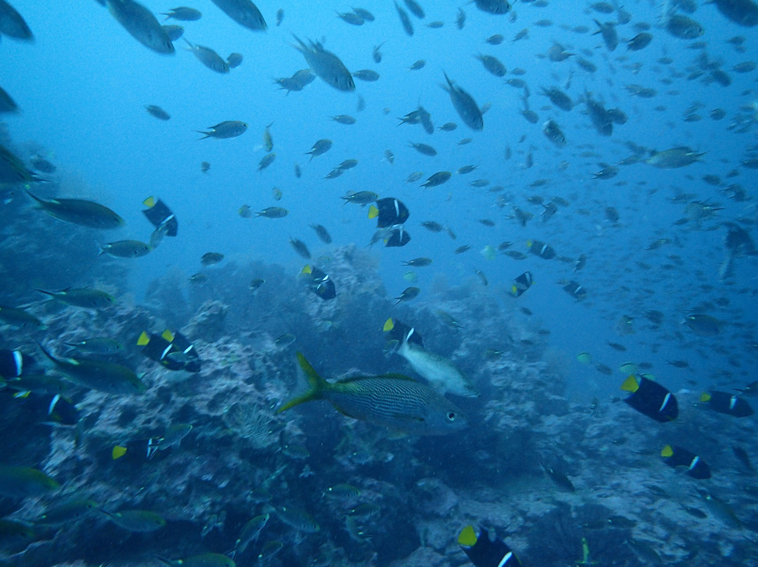 Posada del Mar Bahía Solano主图