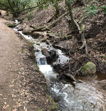 圣安东尼奥县农场公园-库柏蒂诺必去景点