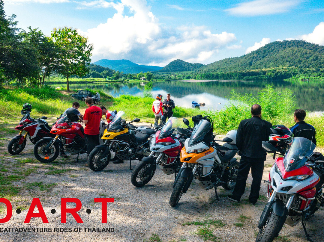 DART Asia