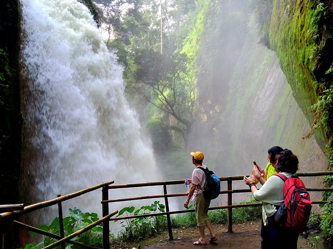 Blawan Waterfall景点图片
