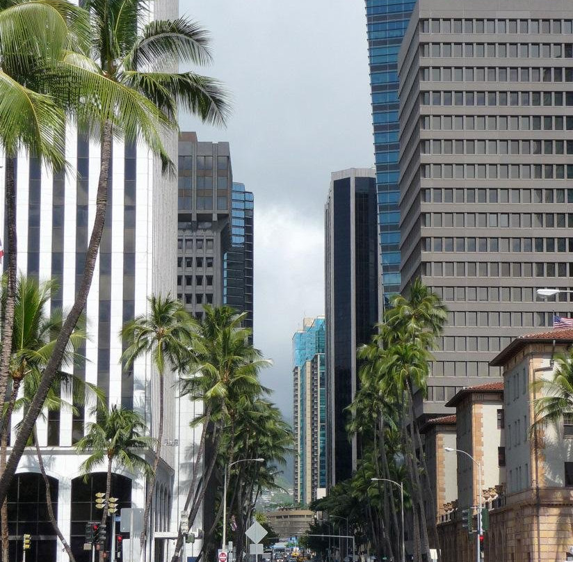 Discover Tours Hawaii LLC-火奴鲁鲁必去景点