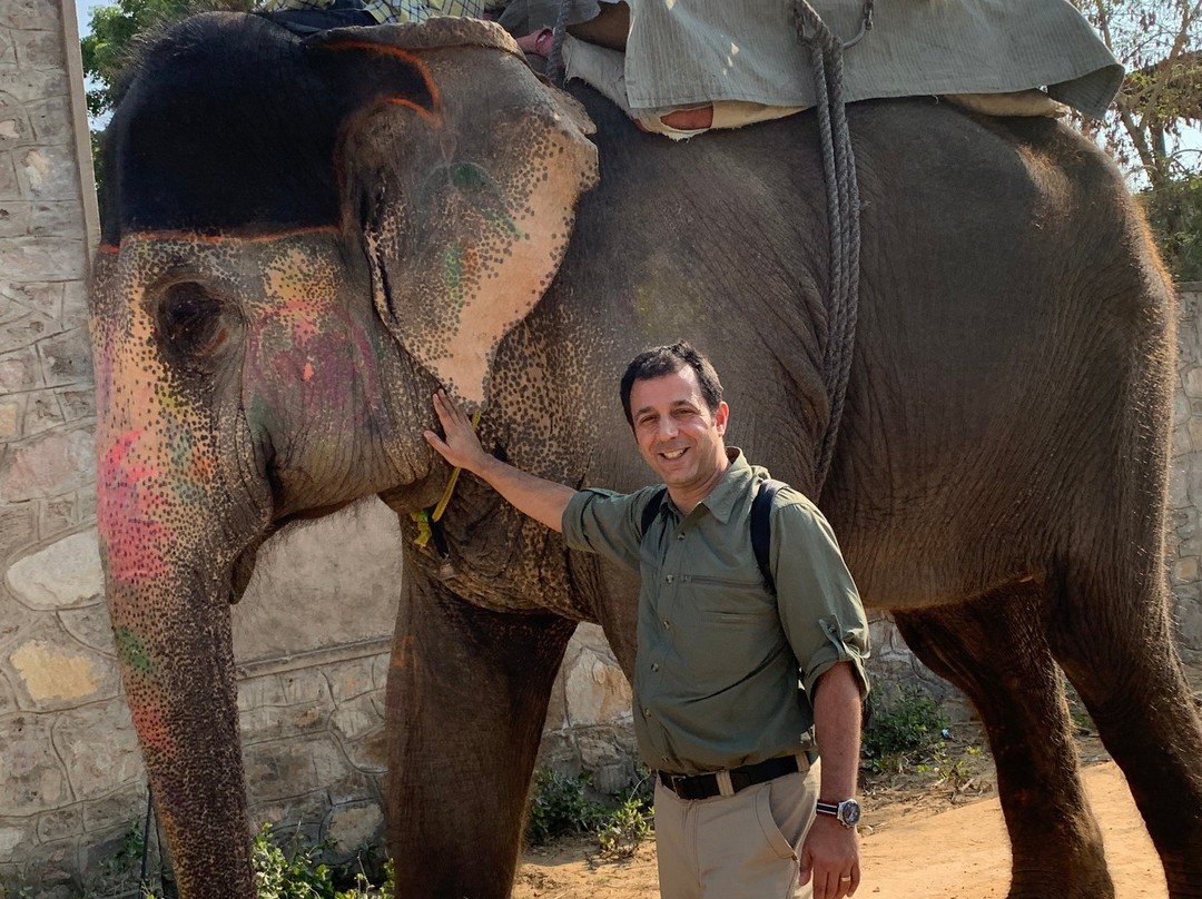 Hathi Gaon Elephant Village景点图片