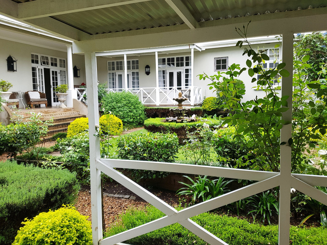 Lemon Tree B&B主图