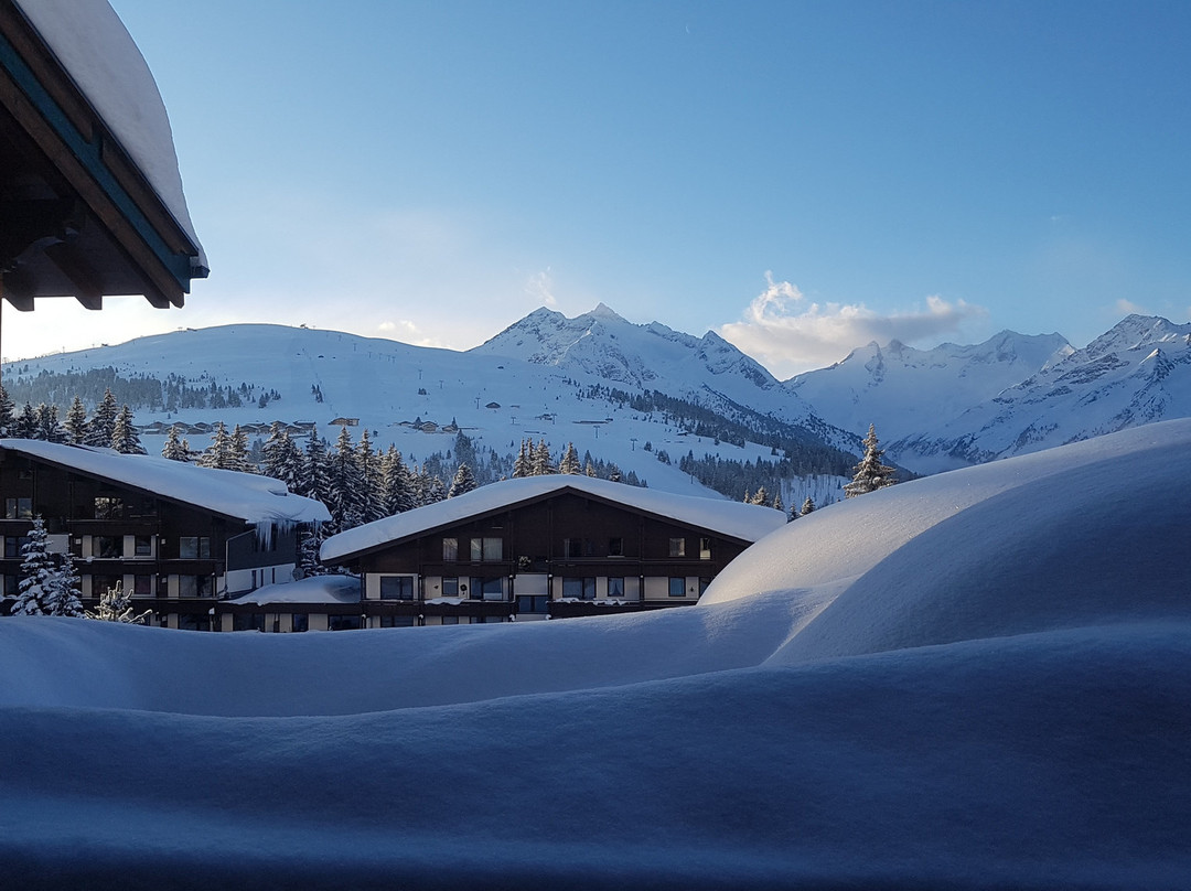 Hotel Koneigsleiten Vital-alpin主图