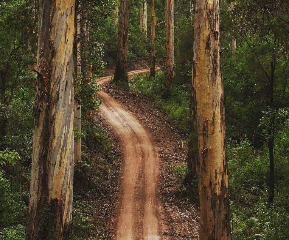 彭伯顿酒店住宿-Mudstone Suites