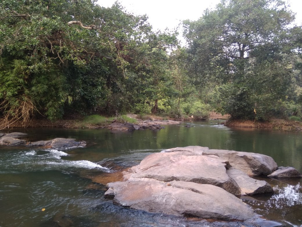 Peruvannamuzhi Dam-科泽科德必去景点