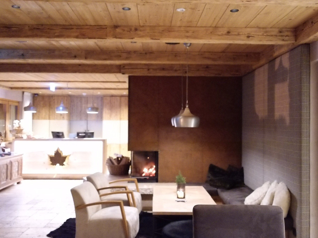 Hotel Winterbauer主图
