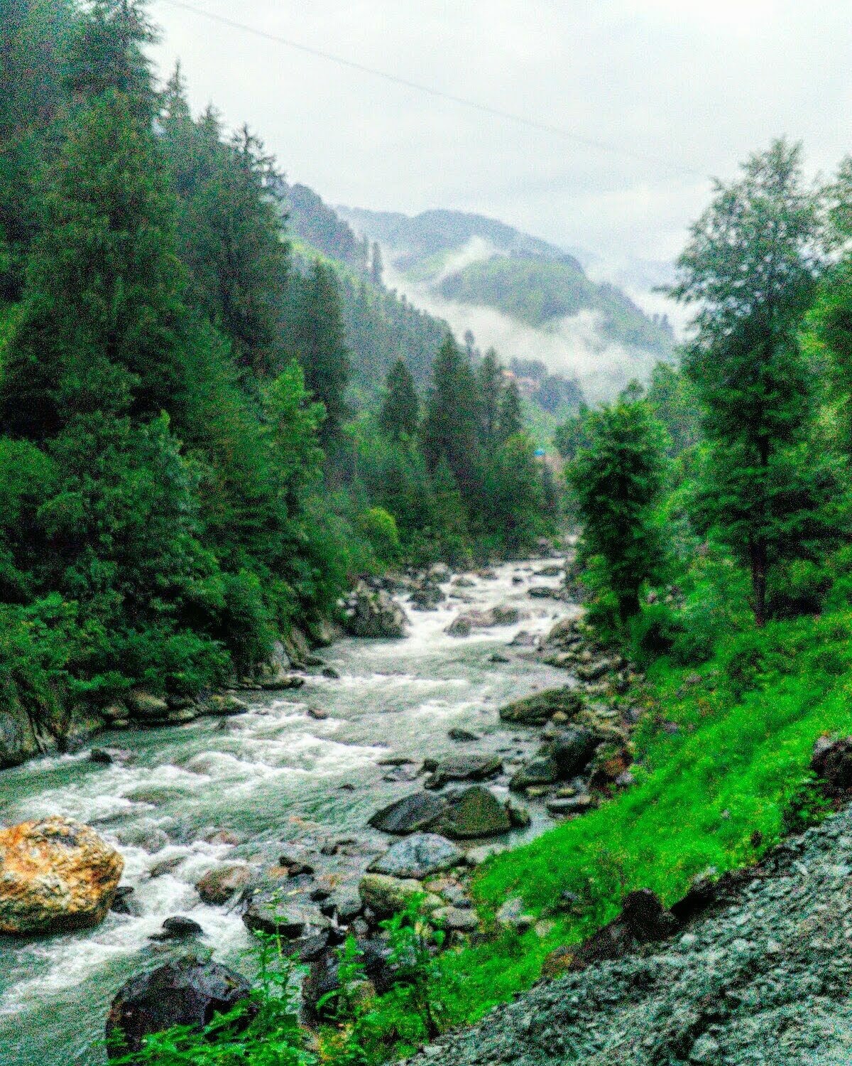 River View Homestay at Barot  Himachal Pradesh-portrait