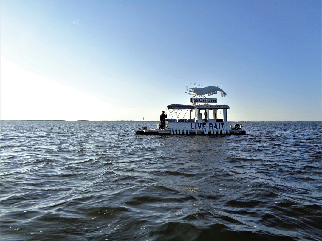 Southern Slam Outfitters-Homosassa Springs必去景点