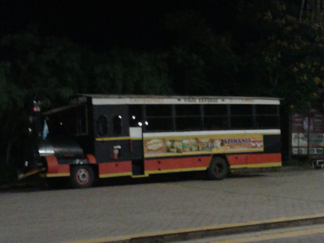 Tren Viejo Expreso景点图片