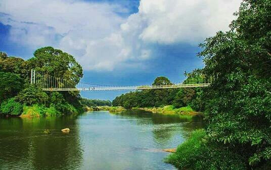 Nilambur Manor主图