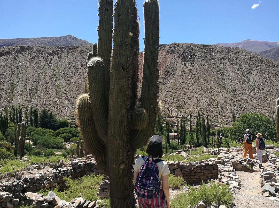 Jardin Botanico de Altura-蒂尔卡拉必去景点