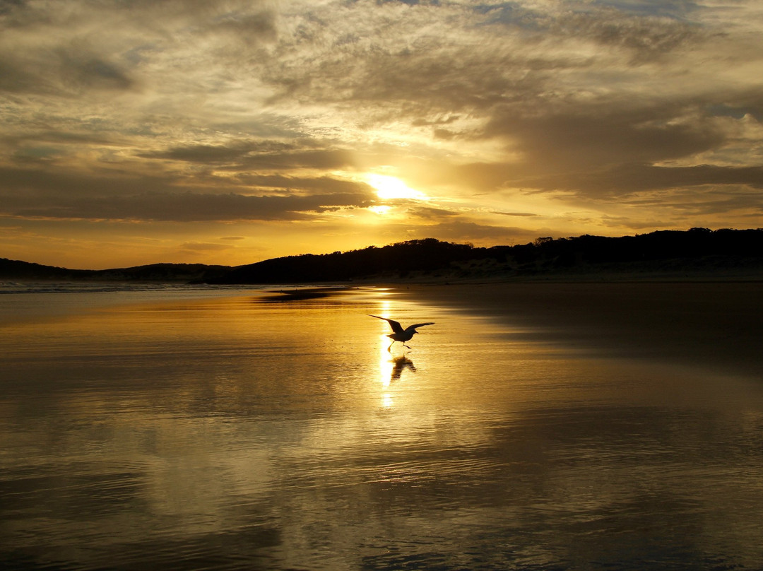 Samurai Beach-史蒂芬斯港必去景点