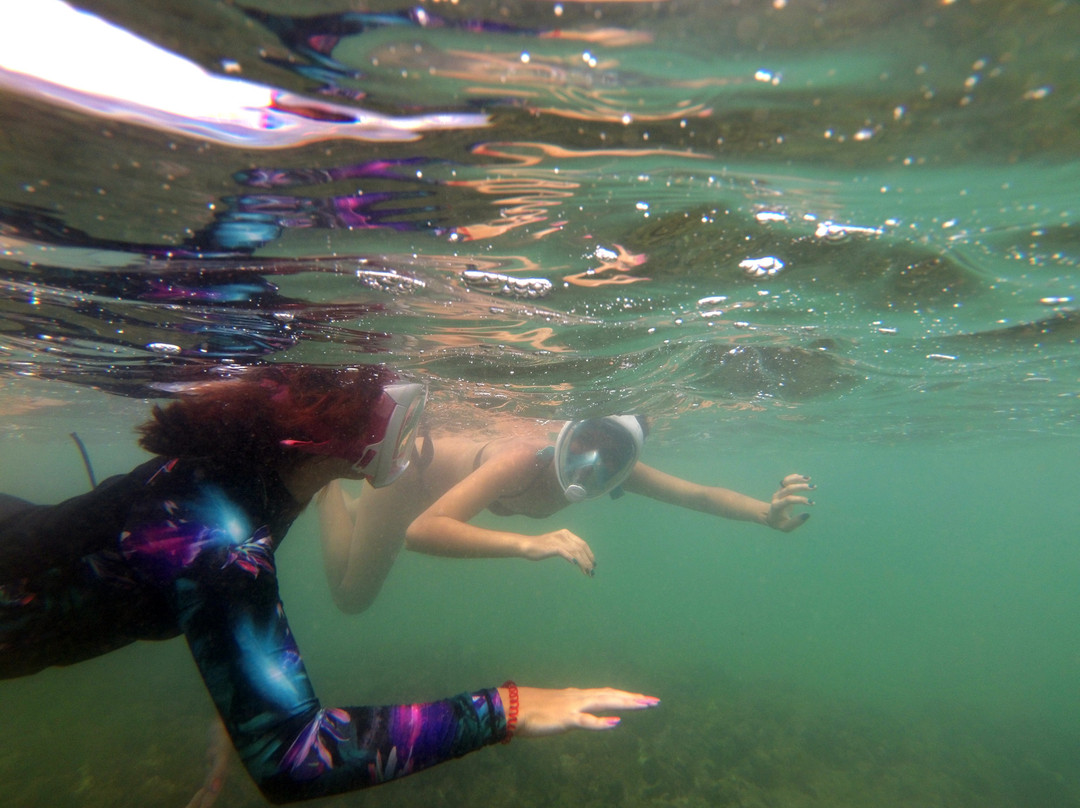 Piscinas Naturais-Camacari必去景点