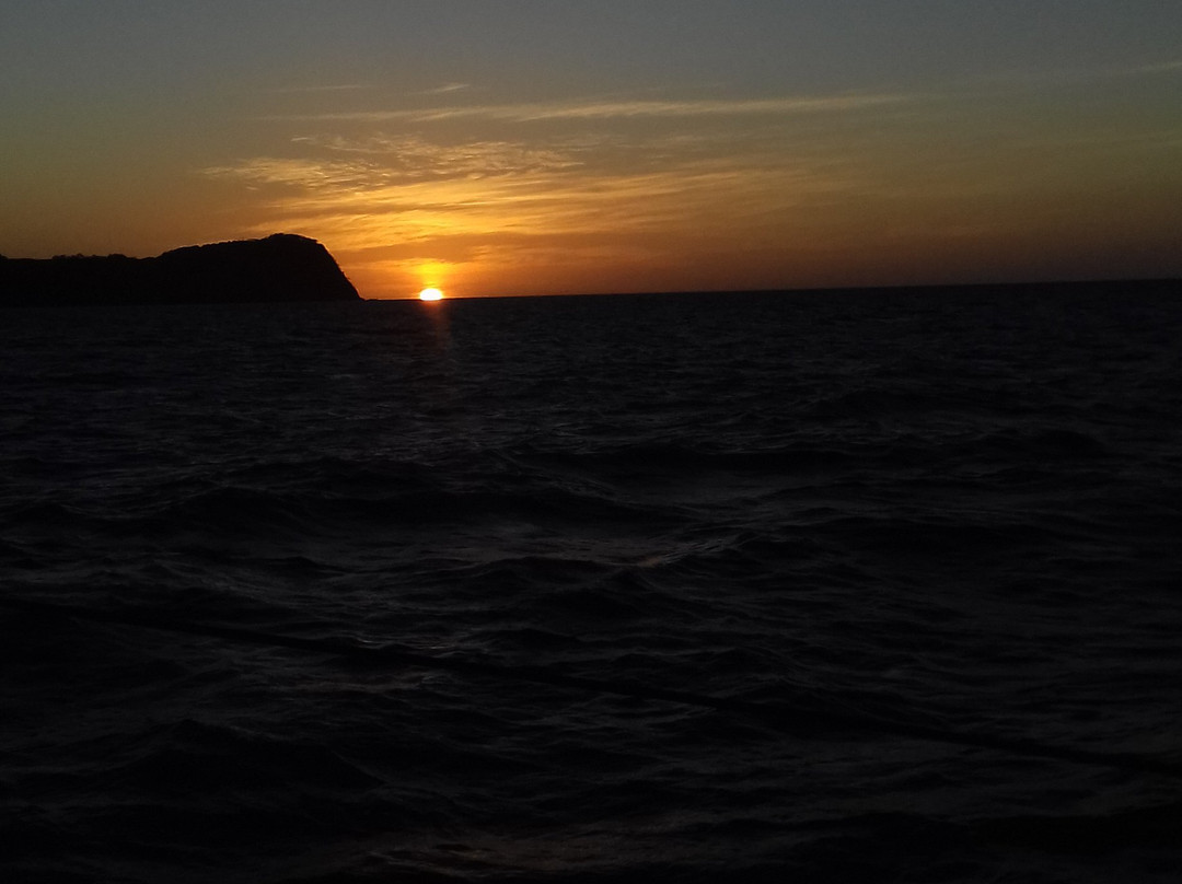Catamaran Ocean Tours景点图片