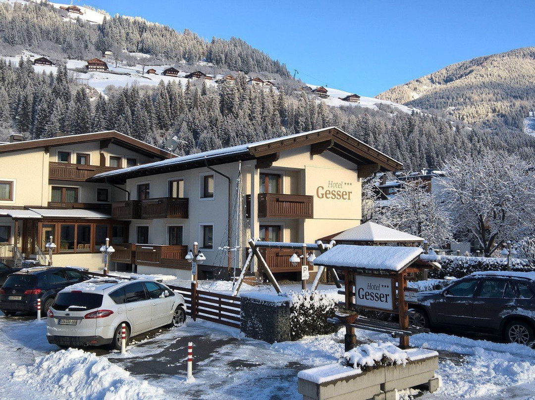 Hotel Gesser主图
