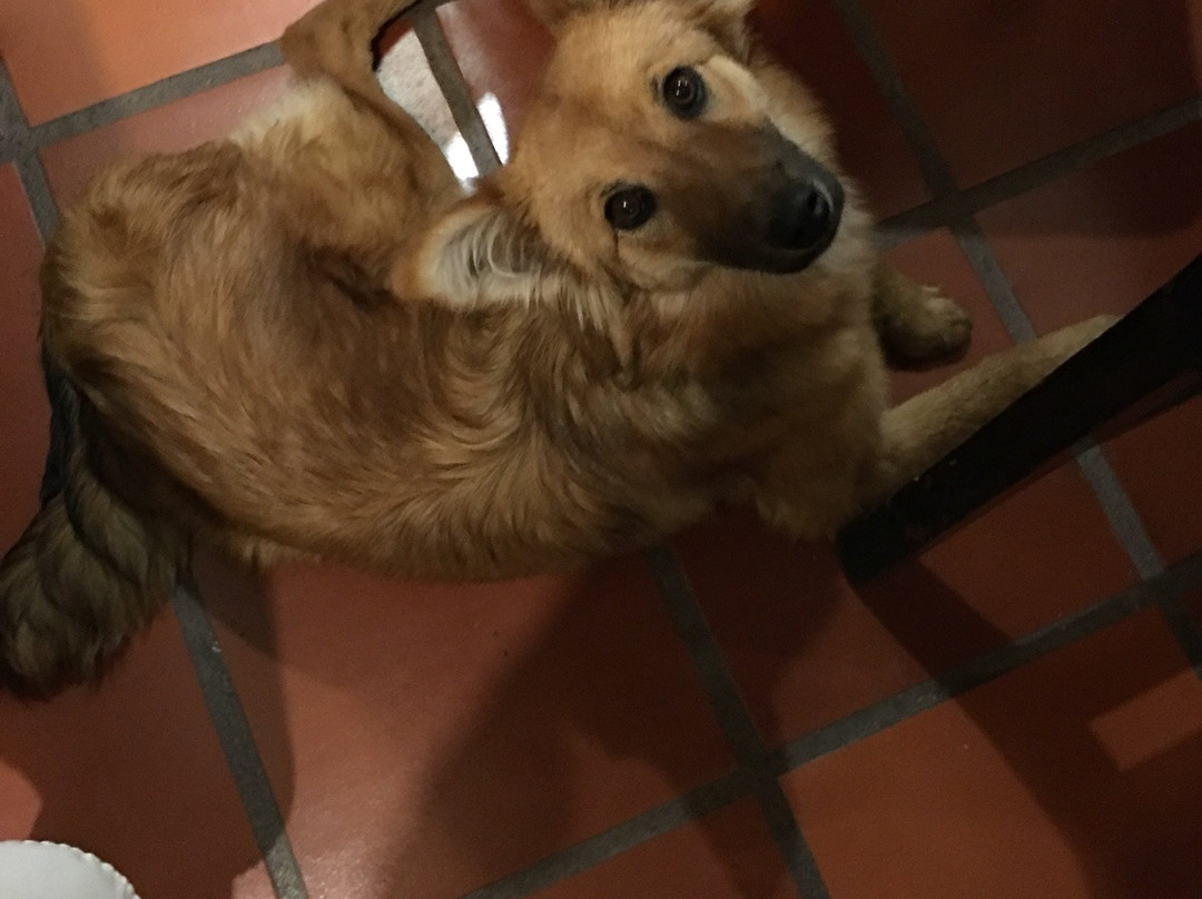 Hacienda Hosteria San Luis主图