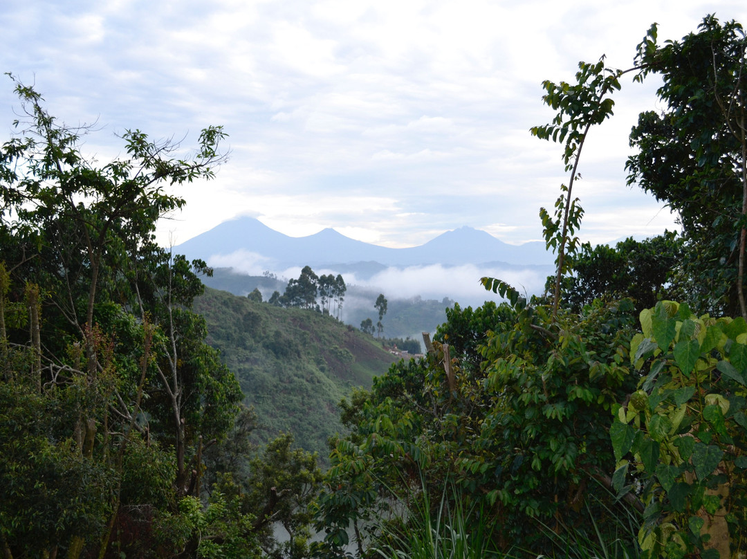 Clouds Mountain Gorilla Lodge主图