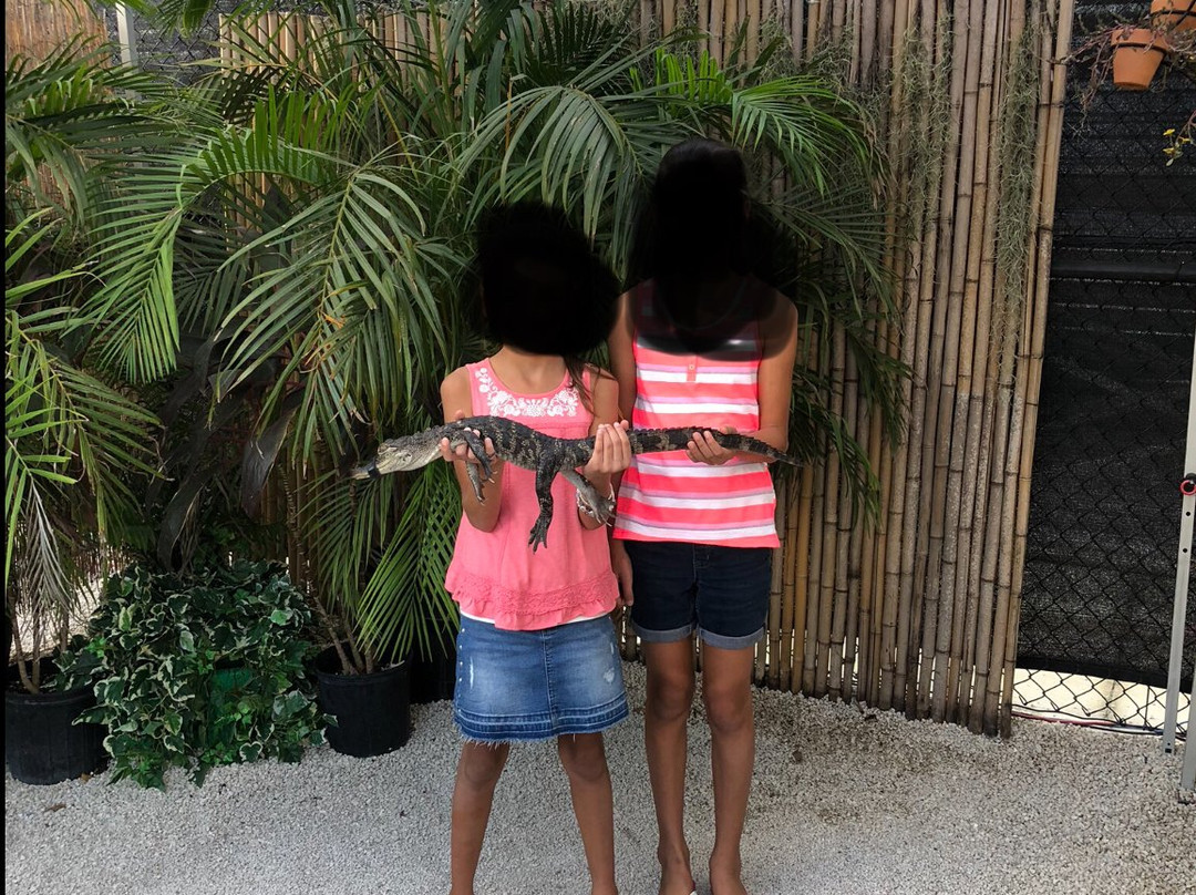 Everglades Holiday Park-劳德代尔堡必去景点