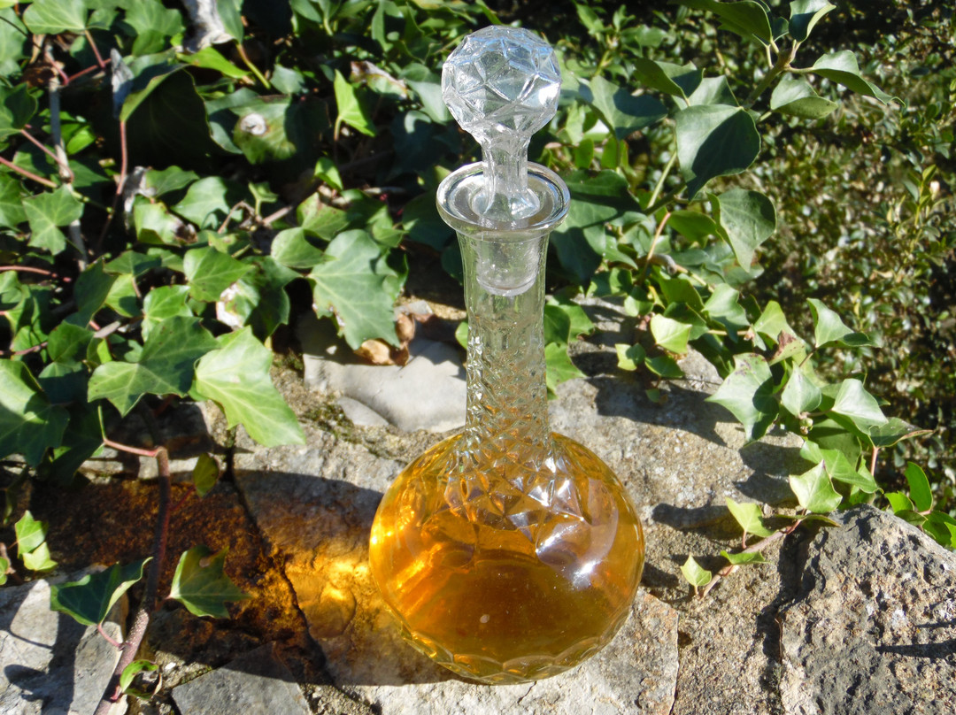 Les Terrasses de Gaumier主图