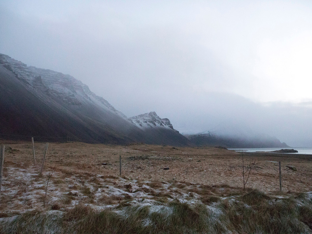 迪尼安蒂宾馆主图