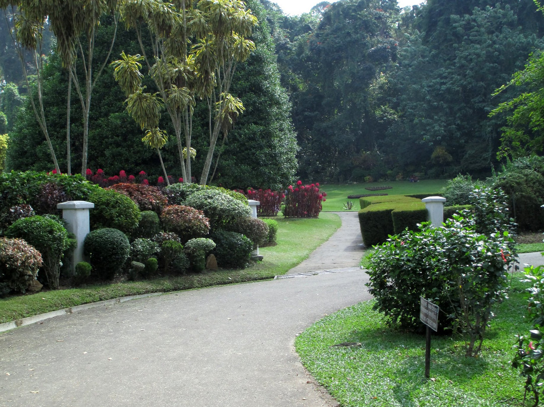 皇家植物园景点图片