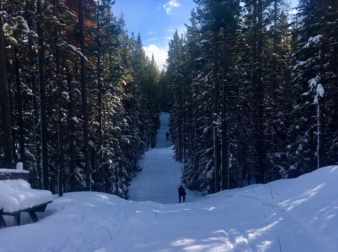 Allison Lake Cross Country Ski Trails-科尔曼必去景点
